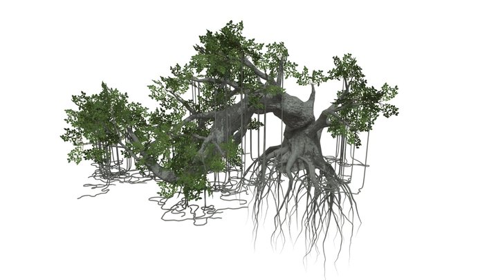 Rigged Jungle Tree 3D Model 3D Model