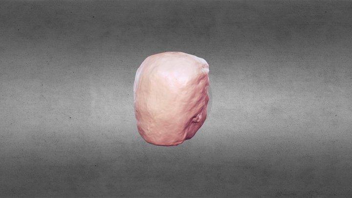 Trumpblend2 3D Model