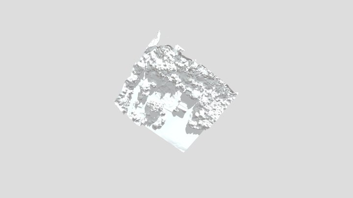 Chapels Field  Drone Images 3D Model