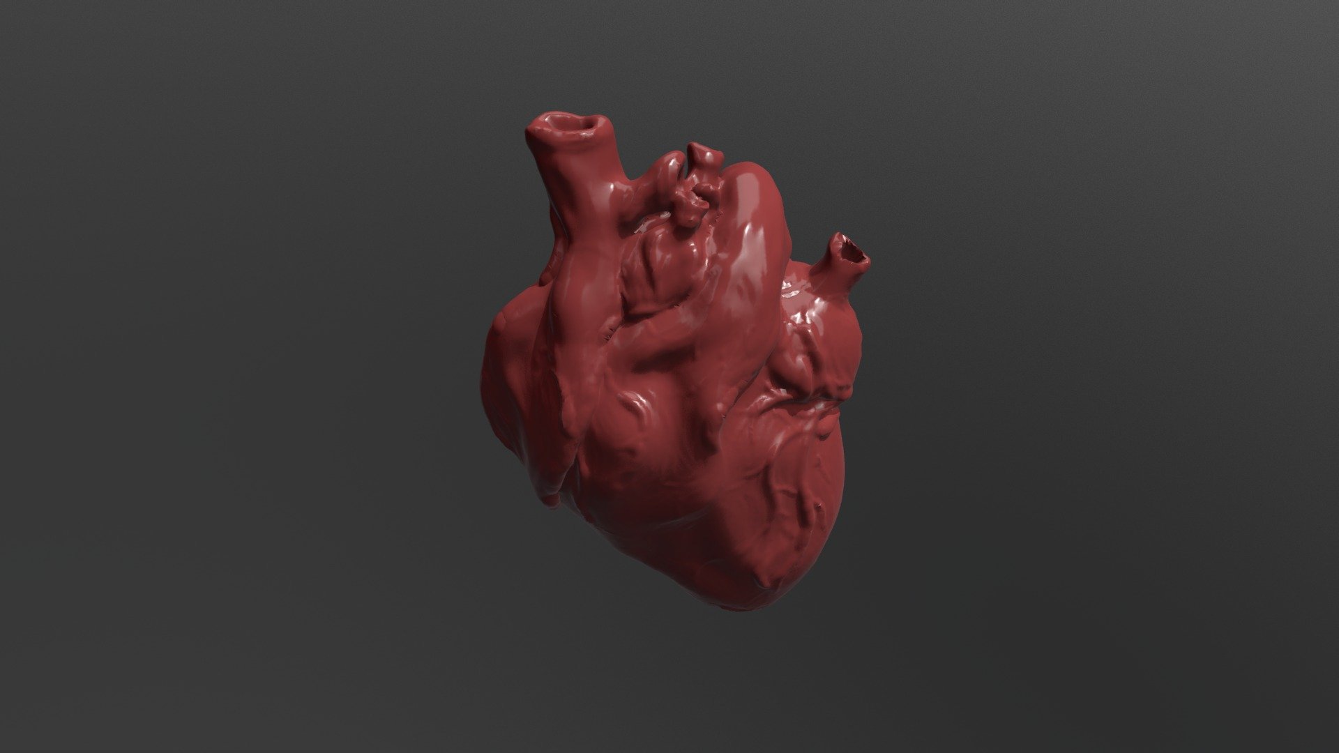 Corazón - 3D model by Raquel.Cabrera.de.los.Cobos [a3d2791] - Sketchfab