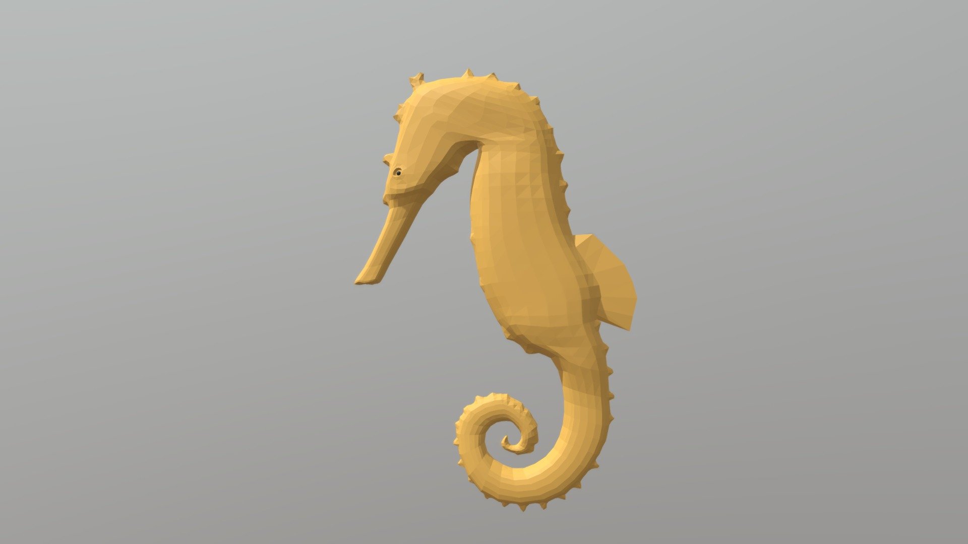 Seahorse