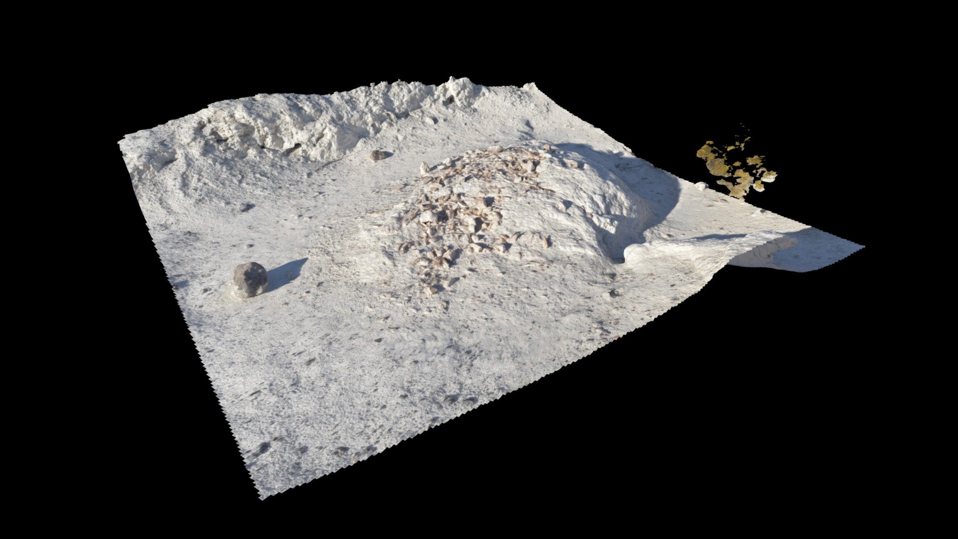 Baby Mammoth Remains