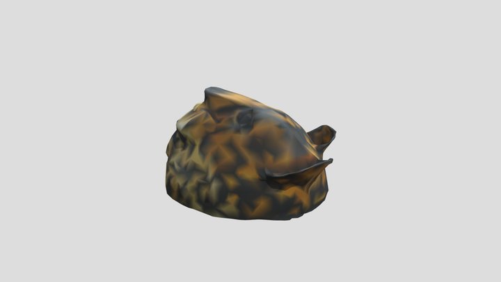 Onca-mascara 3D Model