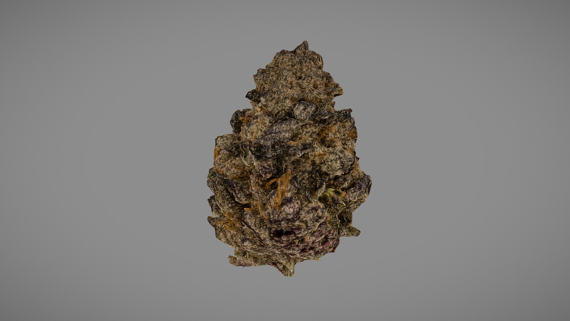 3D model Marijuana Flower (Purple Punch)