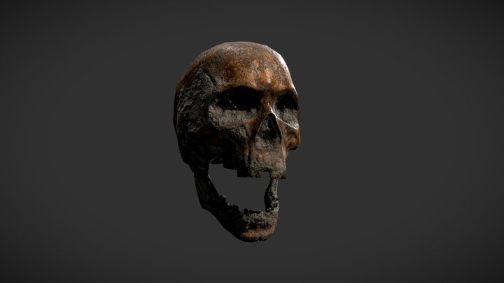 Forgotten Skull 3D Model