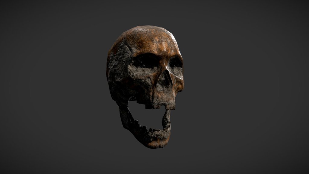 Forgotten Skull