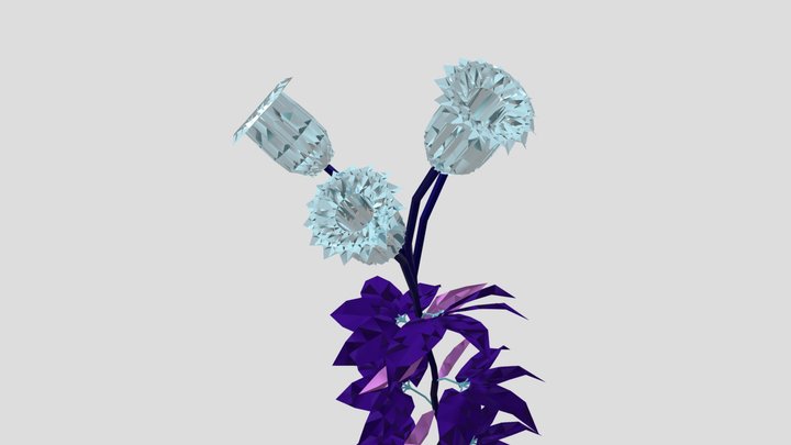 1 3D Model