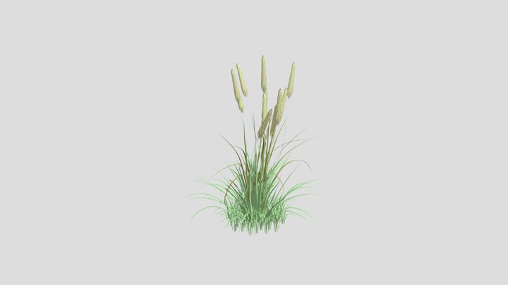 Plantes 3D Model