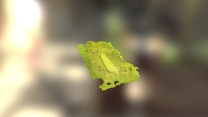 Kallo Peräsin 3D Model