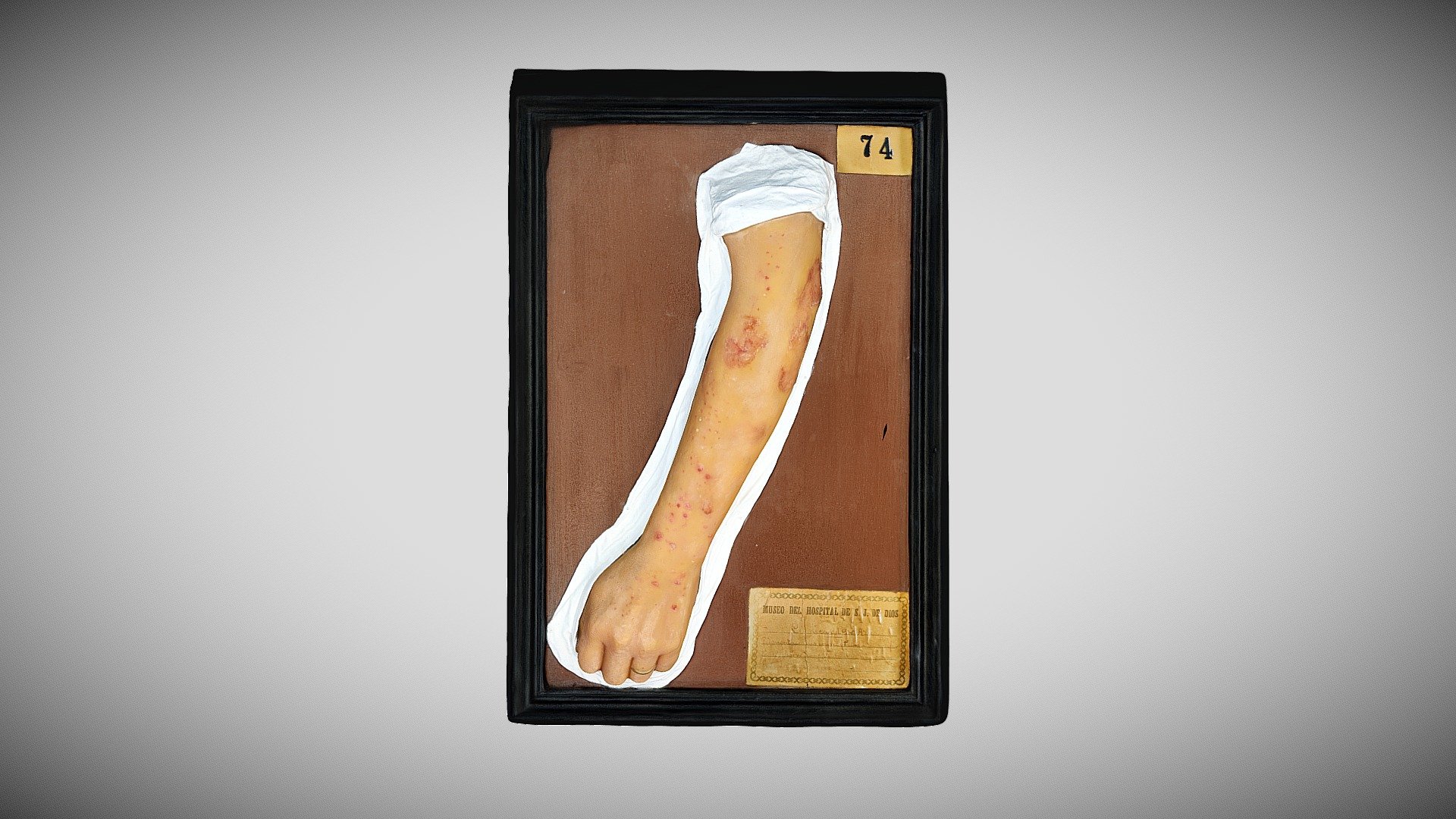 185 - 435 — Sketchfab embed 3D viewer