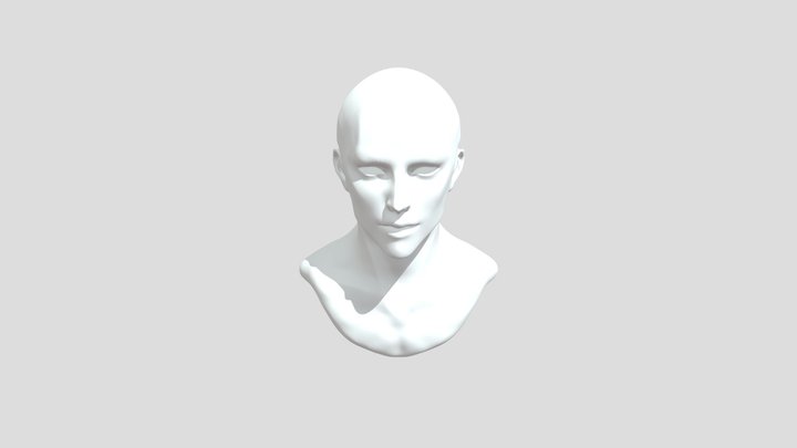 Male Head 3D Model