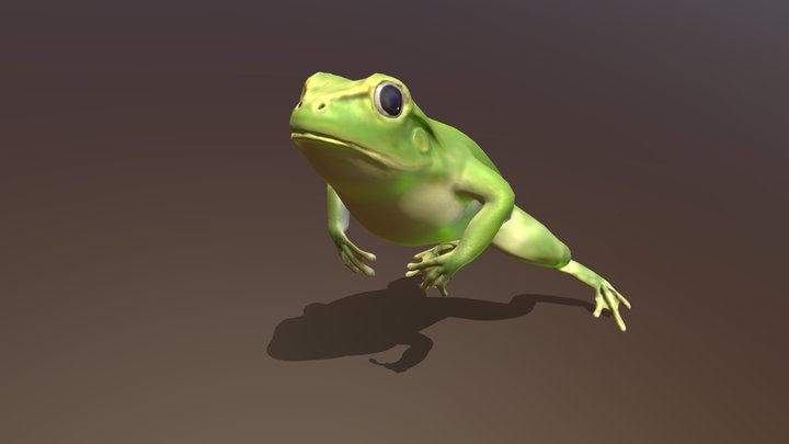 Frog Jump 3D Model