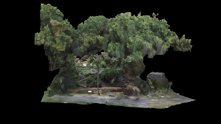 Colección Jardín de las Interacciones del IBUNAM 3D Model