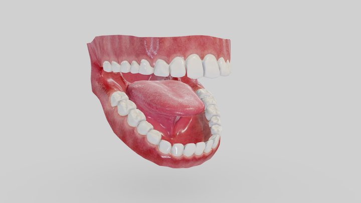 Realistic low poly mouth 3D model 3D Model