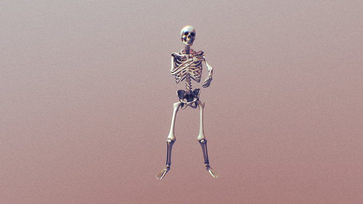 Skeleton- Macarena Dance 3D Model