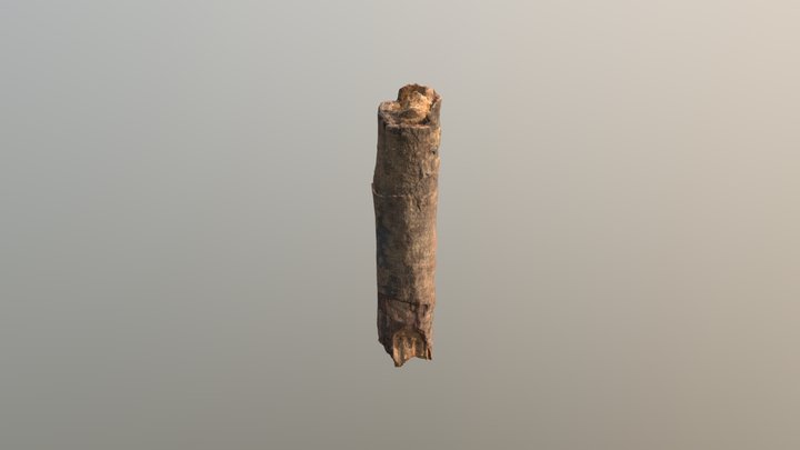 Wood Debris 3D Model