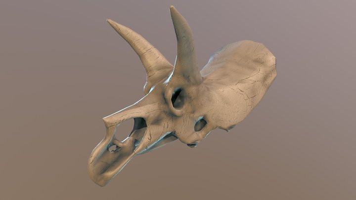 Trike skull 3D Model