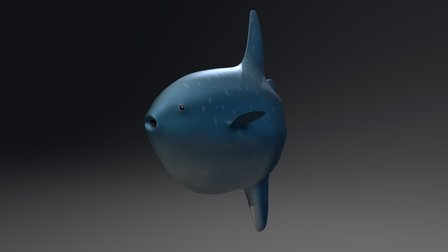 Ocean sunfish (MolaMola) 3D Model