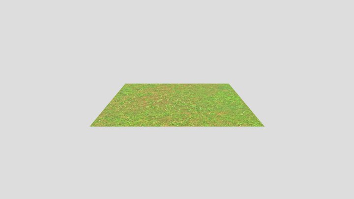Cesped 3D Model