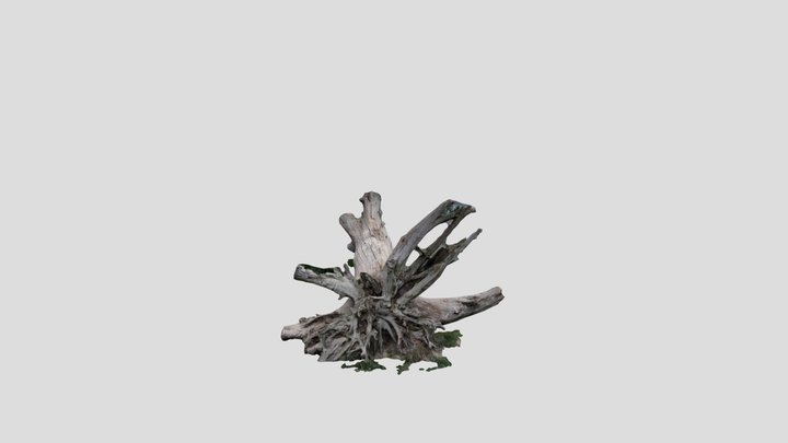 Fallen tree 3D Model