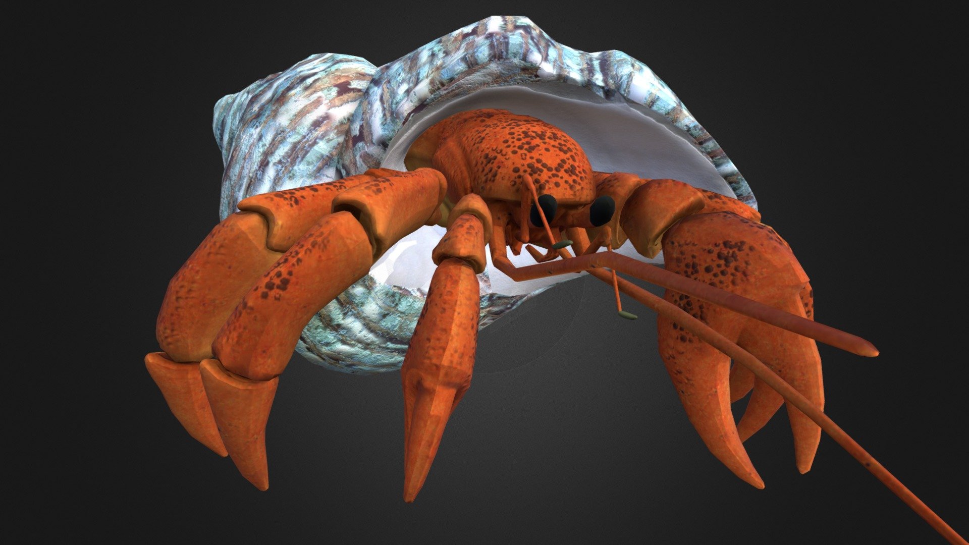 Hermit Crab - 3D Model By Tonygrinayde_ (@tonygrinayde) [a3f6b92 ...