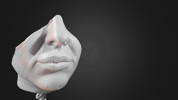 Mouth & Nose 3D Model