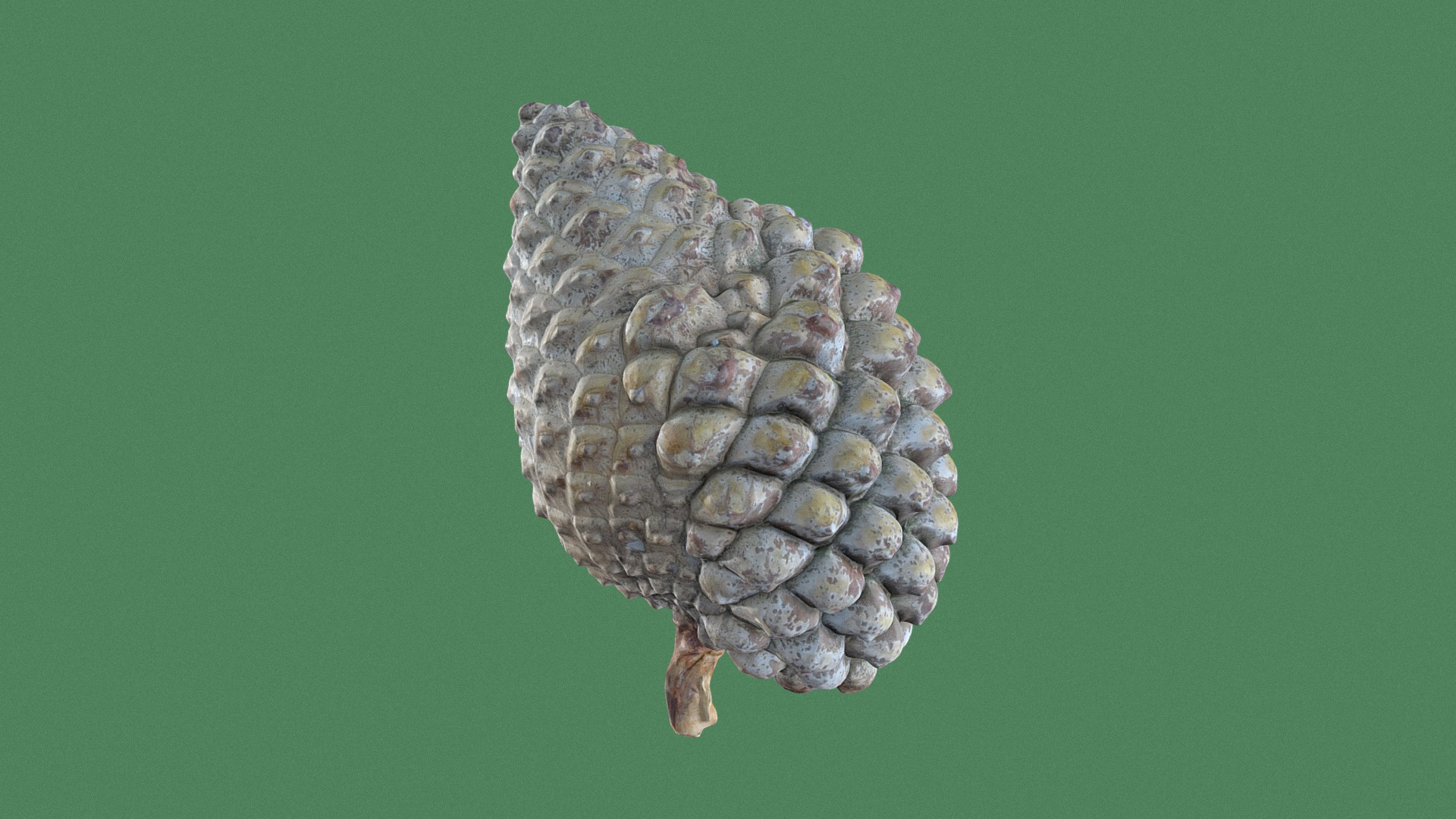 3D model Scots Pine Cone - This is a 3D model of the Scots Pine Cone. The 3D model is about a close-up of a crystal.
