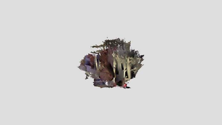 Untitled Scan 3D Model