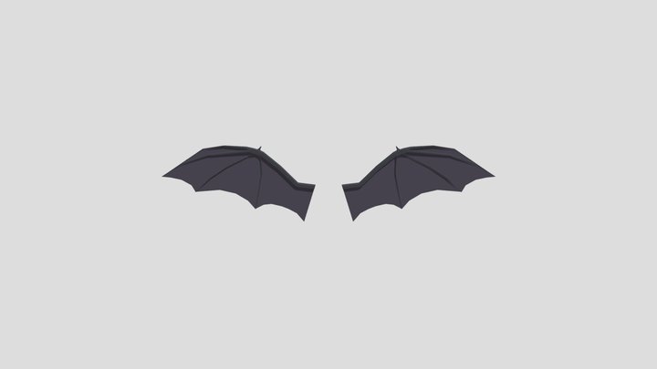 Bat wing from Poly by Google 3D Model