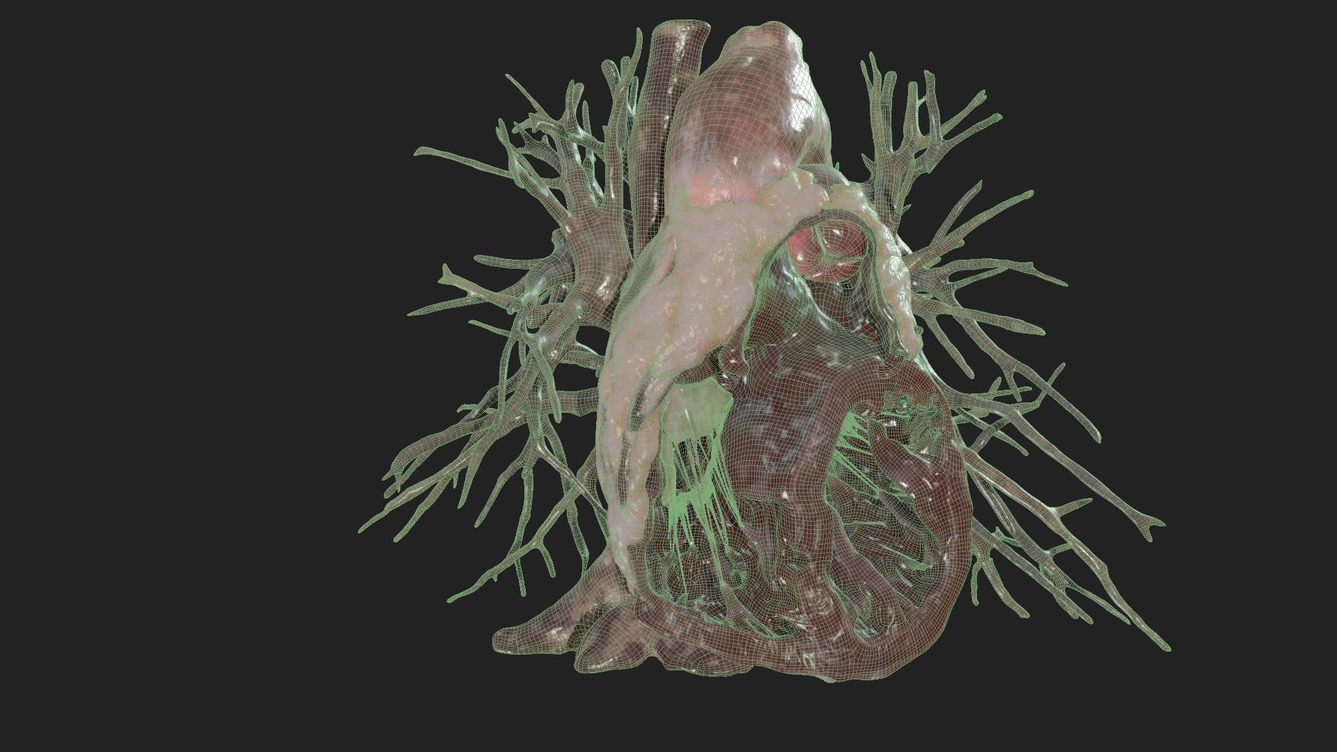 3D model (stl) Heart base mesh