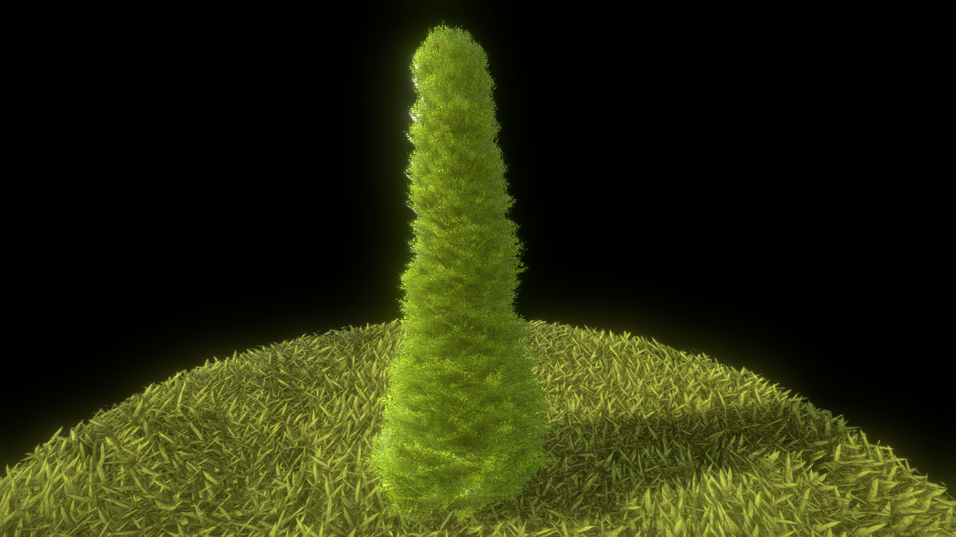 3D model Cypress – Version 3 – 1 Meter - This is a 3D model of the Cypress - Version 3 - 1 Meter. The 3D model is about a green grass field.