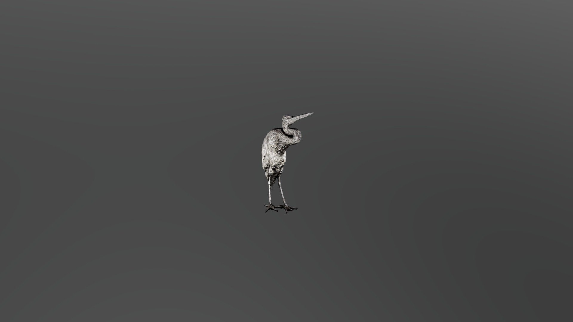 Silver Bird
