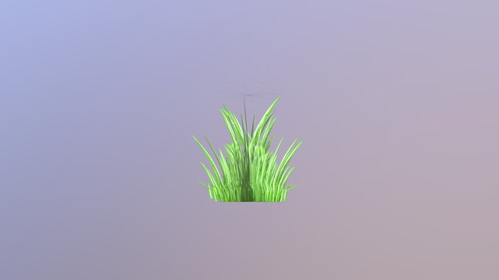Grass 3D Model