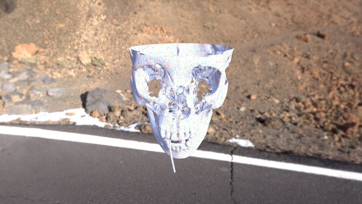 Contour_head 3D Model