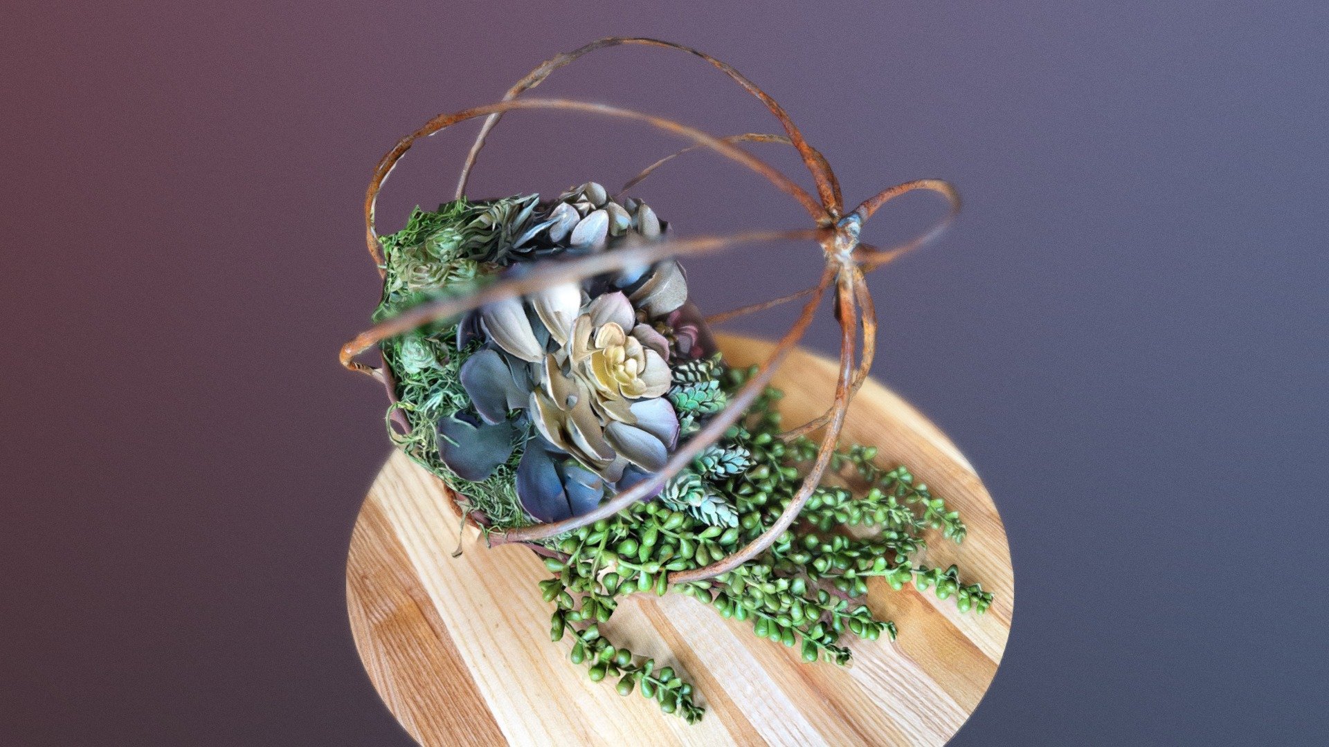 Overflowing basket of succulents — Sketchfab embed 3D viewer