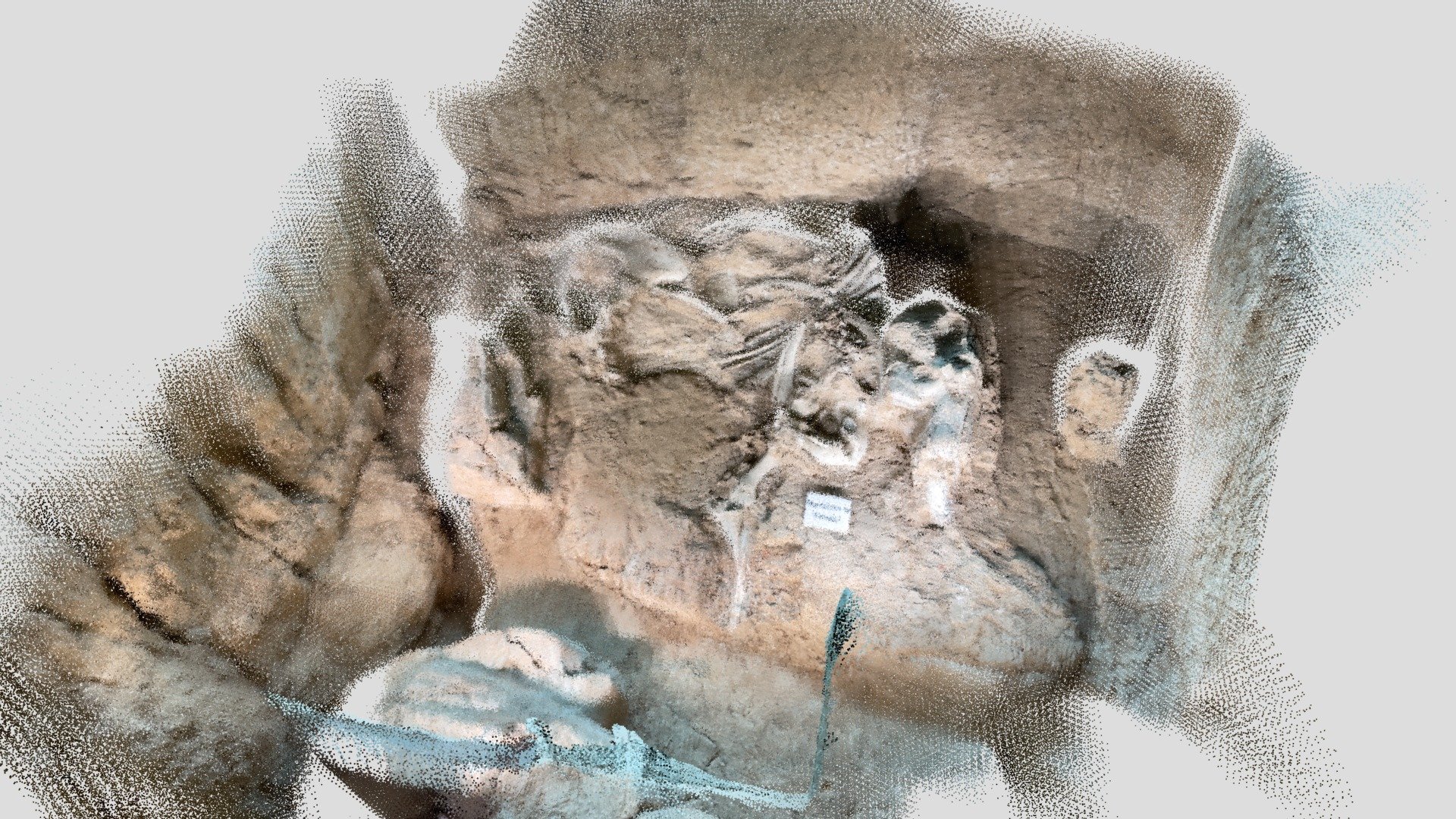 Female Mammoth Skeleton
