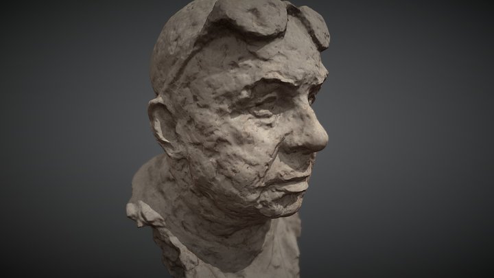 Wojciech Szwej - portrait sculpture 3D Model