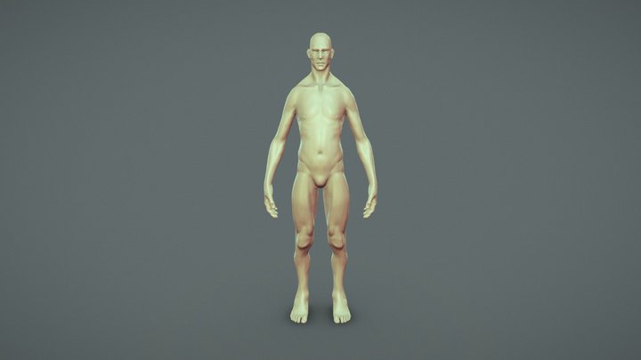 Stylized Thin Male Base Mesh 3D Model