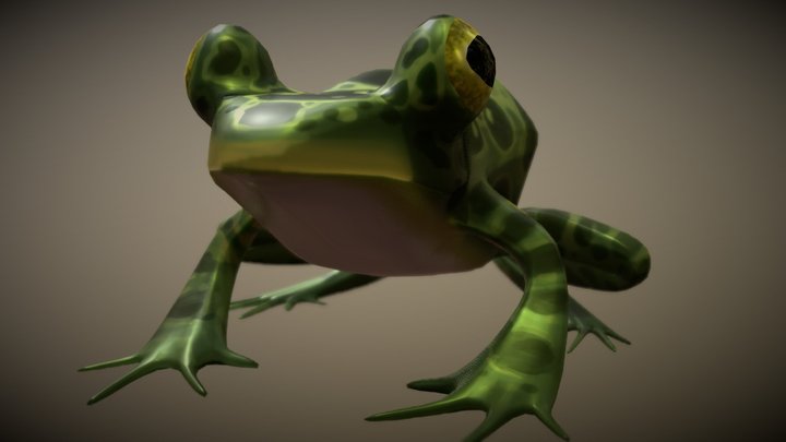 First frog 3D Model