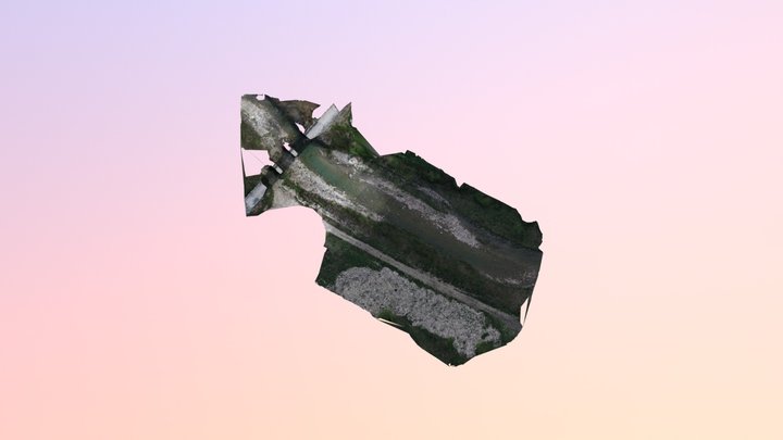 Fiume SAVIGNANO 3D Model