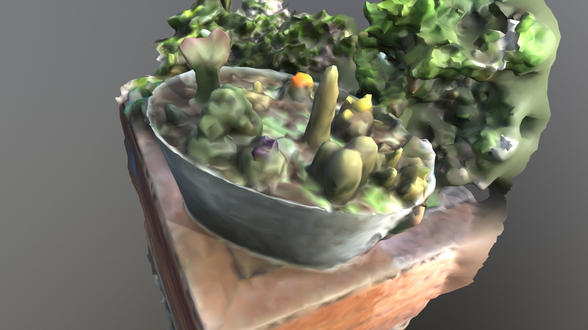 cactus pot