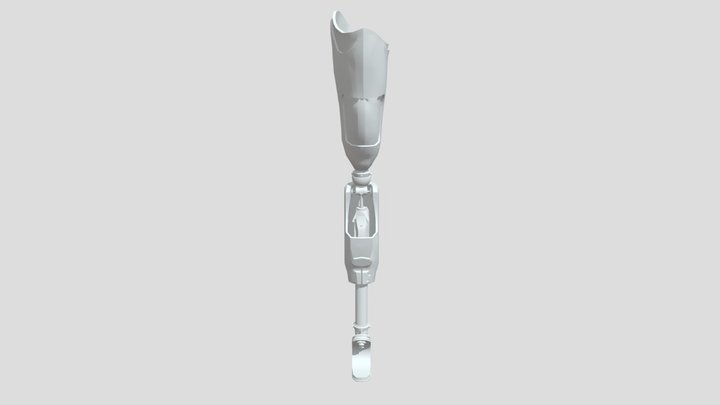 Leg 3D Model