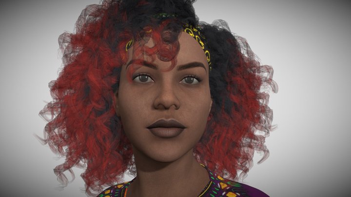 AFRO 3D Model