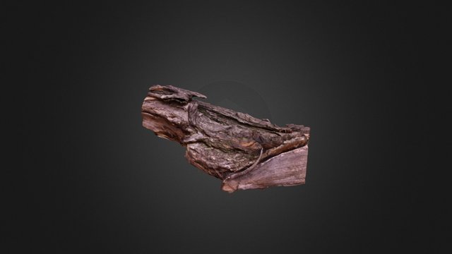 wood 1 3D Model