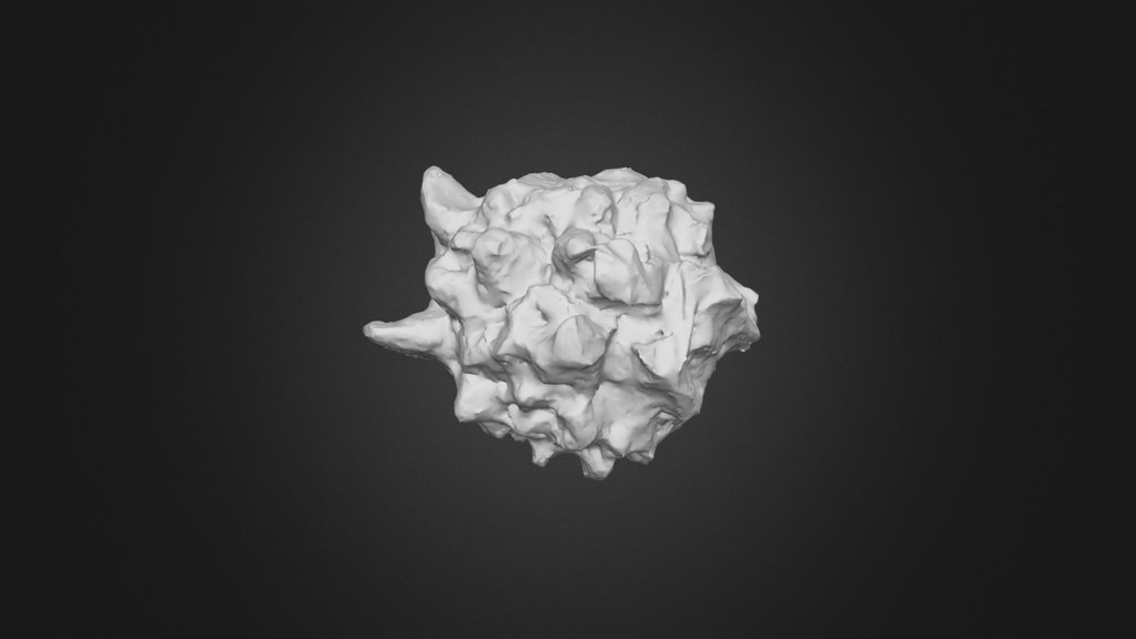20251124_Hailstone_25