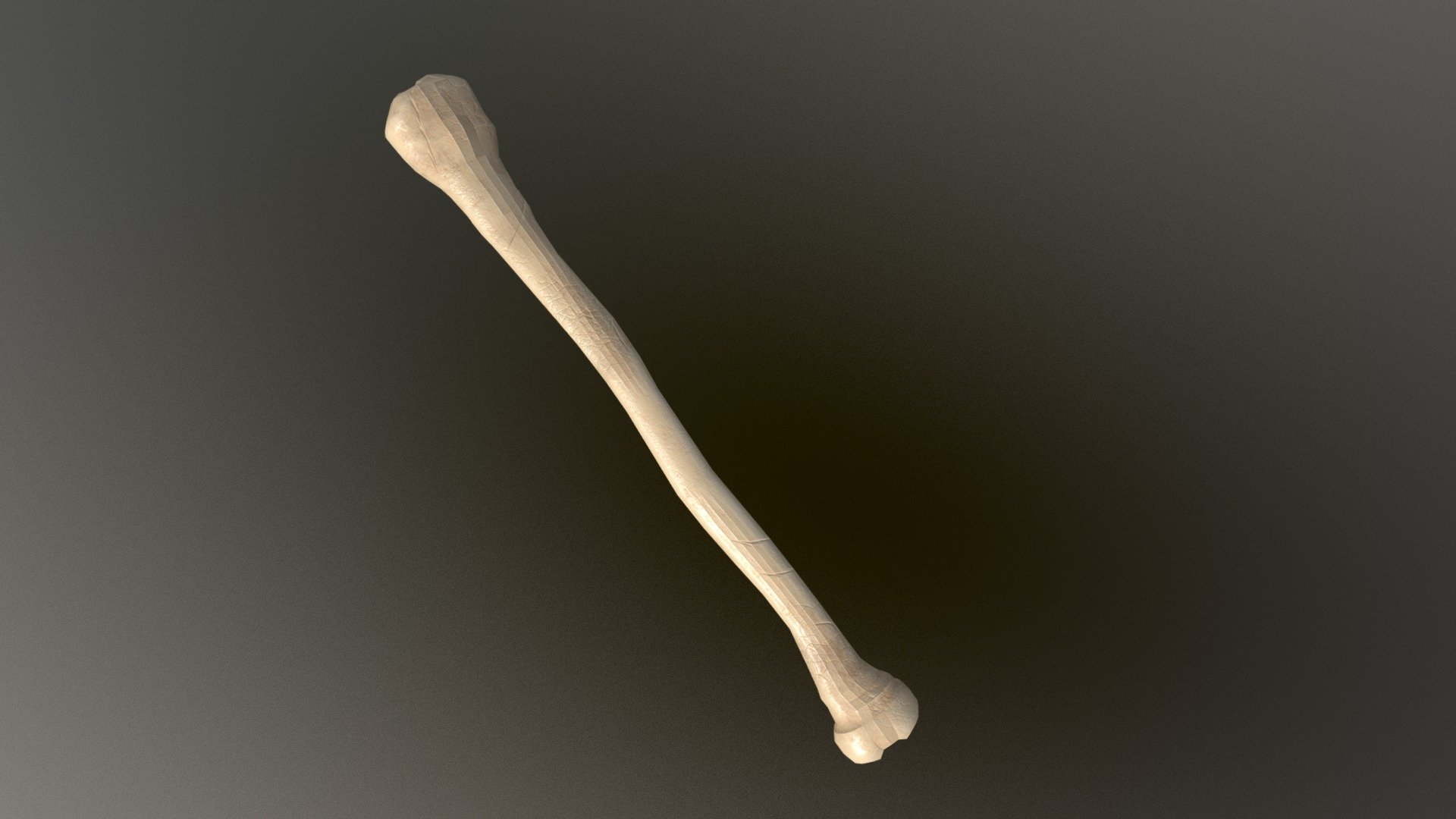 boneMedium - 3D model by farrahgembutis [a425bdb] - Sketchfab