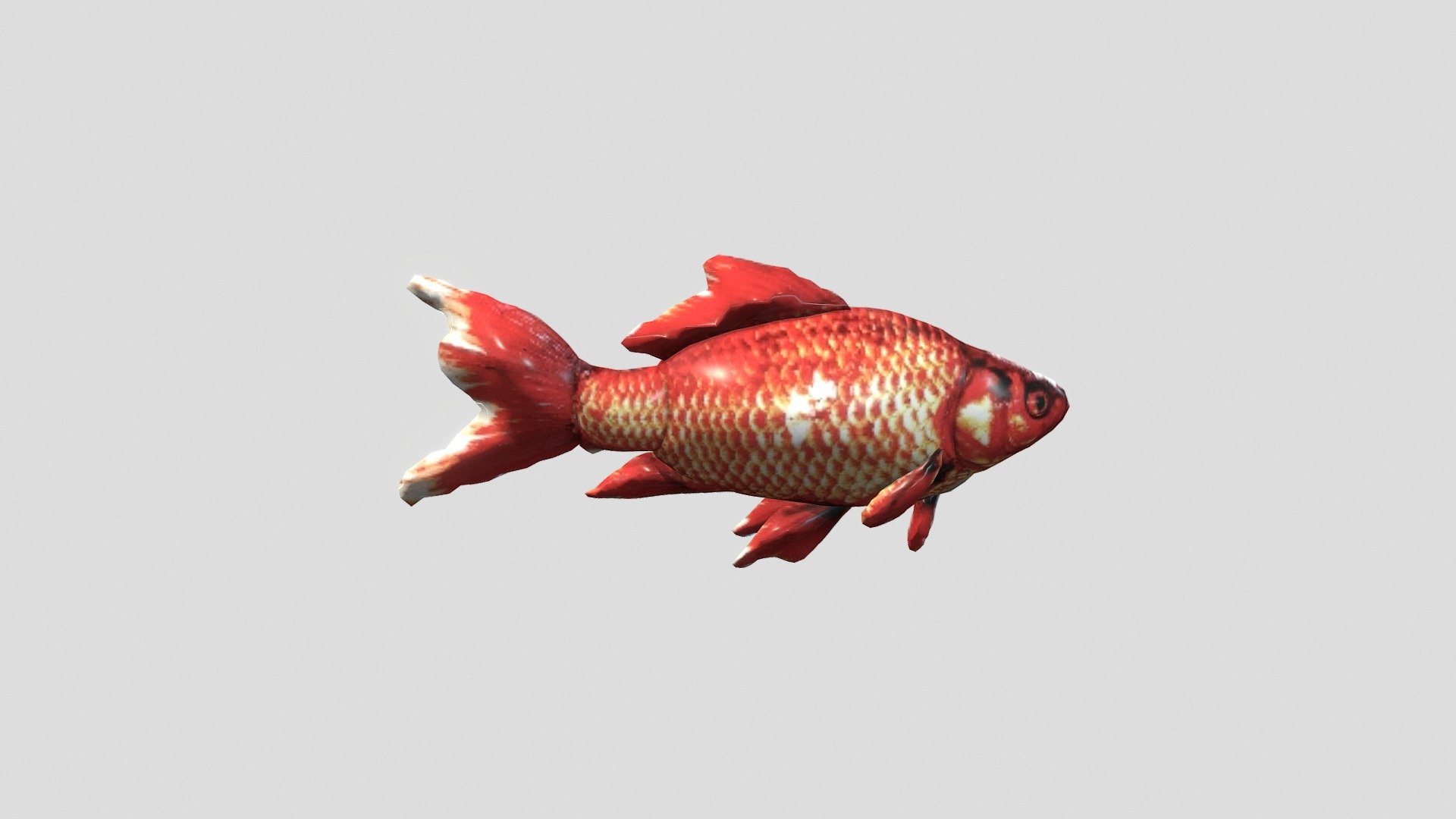 fish01