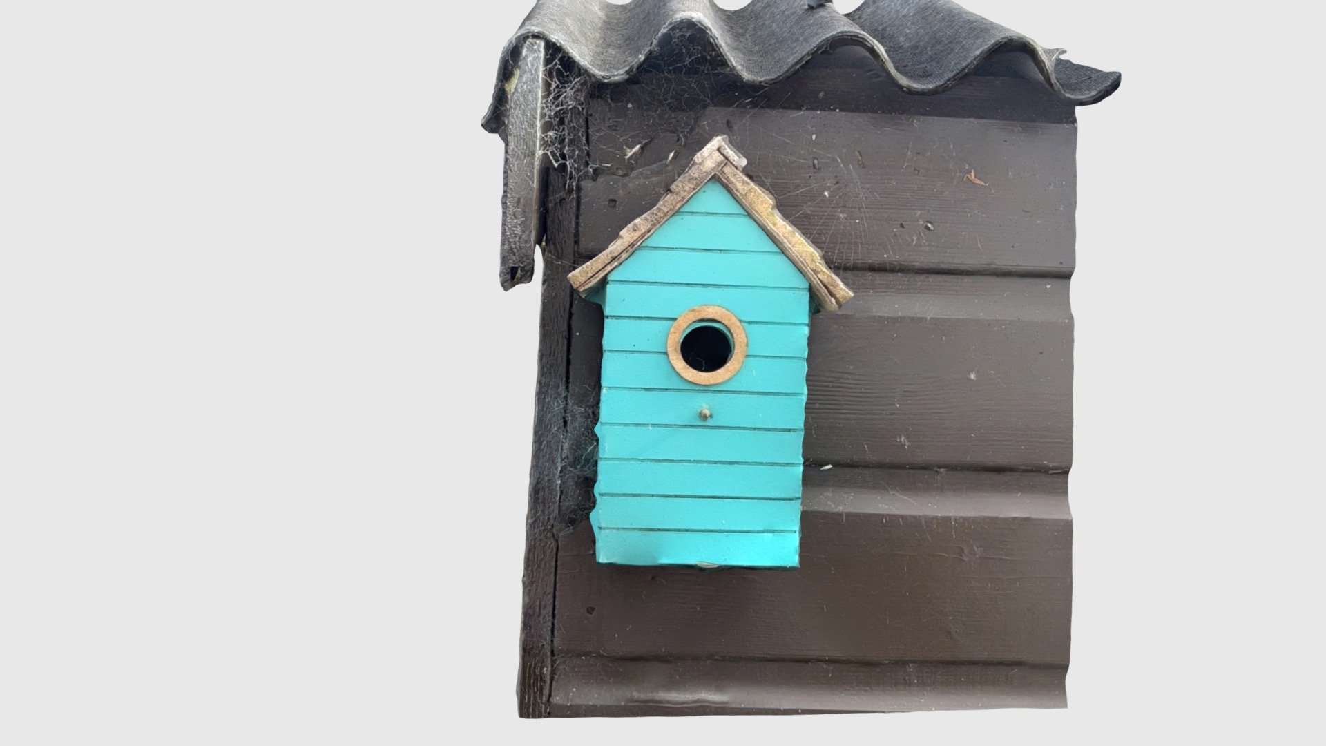 Bird House