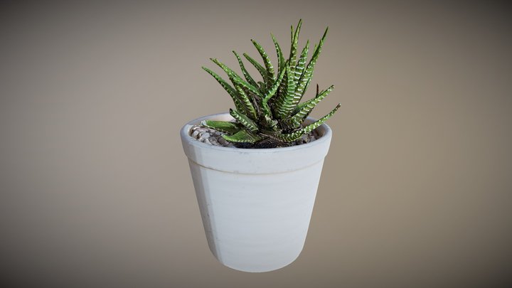 Potted Plant 02 – Modello 3D gratuito STL