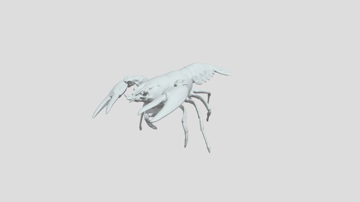 Signal Crayfish TV1